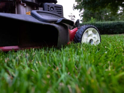 Trawnik na trudnym terenie – zastosowanie perlitu przy zakładaniu trawnika na glinie